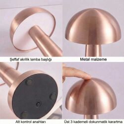 PANTHER PT-700 ROSE USB ŞARJLI MASA LAMBASI - 4