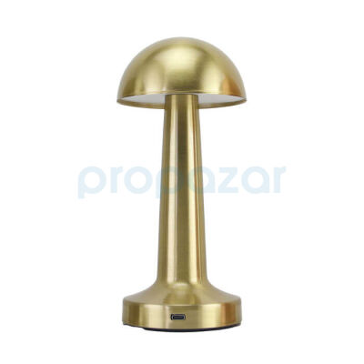 PANTHER PT-700 USB ŞARJLI MASA LAMBASI - 1