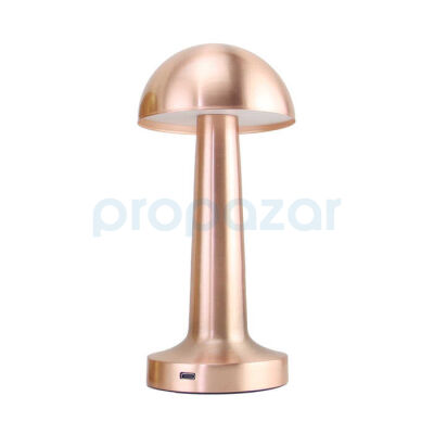 PANTHER PT-700 USB ŞARJLI MASA LAMBASI - 2