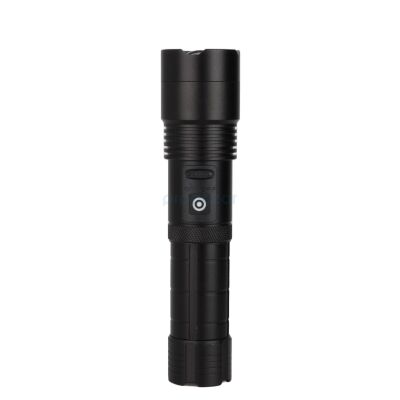 Panther PT-8431 USB Şarjlı El Feneri - 1
